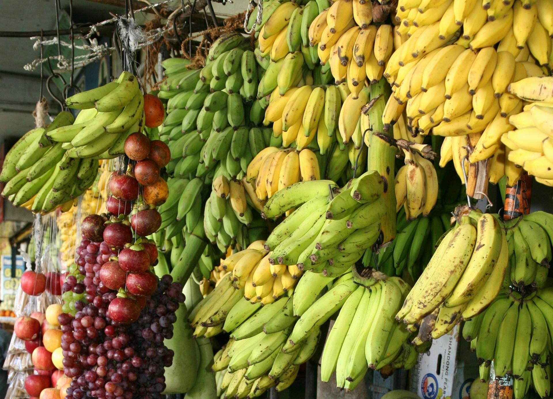 khasiat pisang nangka
