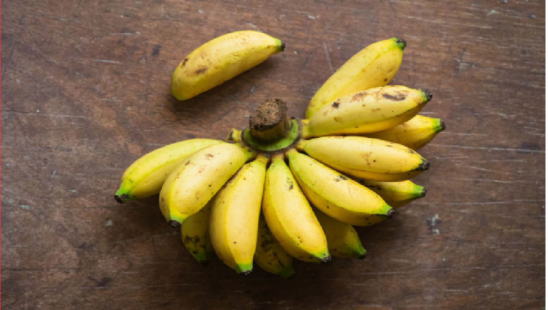 pisang susu, salah satu jenis pisang yang kaya akan manfaat