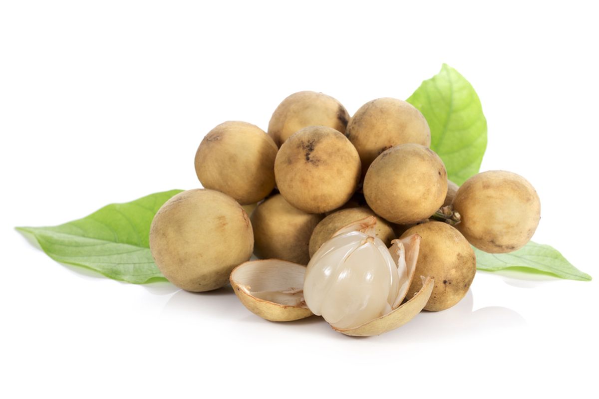 Ilustrasi buah duku ternyata memiliki banyak kandungan gizi. Manfaat buah duku sangat baik untuk kesehatan.(SHUTTERSTOCK/artphotoclub)