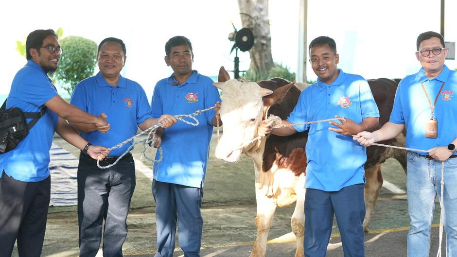 PEDULI: Eriza Mulhadi menyerahkan sapi kurban secara simbolis kepada Senior Manager Perencanaan selaku Plh General Manager PT PLN (Persero) UIP JBTB I Wayan Semudiarsa. (PLN UNTUK JPRM)