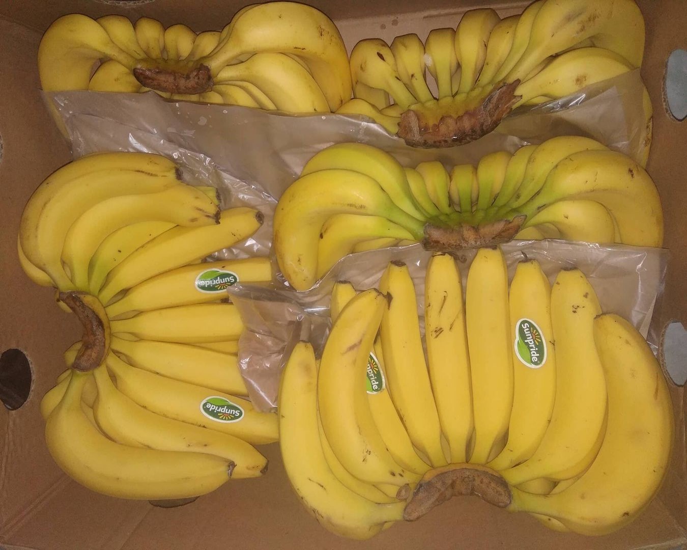 rasanay yang manis dan punya harga lumayan, pisang cavendish juga bermanfaat bagi kesehatan
