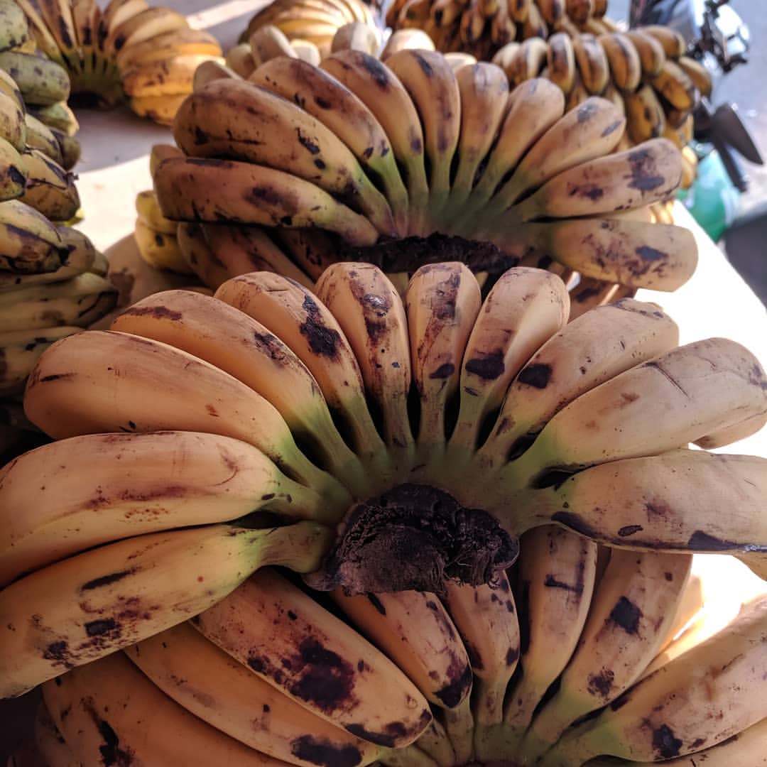 pisang barangan, buah yang kaya manfaat