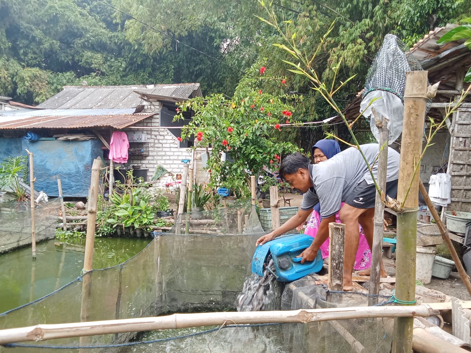 PELEPASAN LELE: Budi daya ikan lele di Kelurahan Mlajah, Kecamatan Bangkalan, Sabtu (22/6). (AHZAMZAM ERENDY/JPRM)