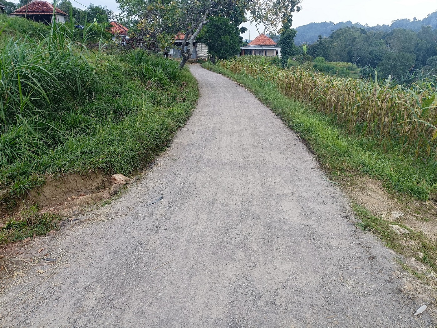 INFRASTRUKTUR: Kondisi jalan yang sudah diaspal di Dusun Sumber Penang.