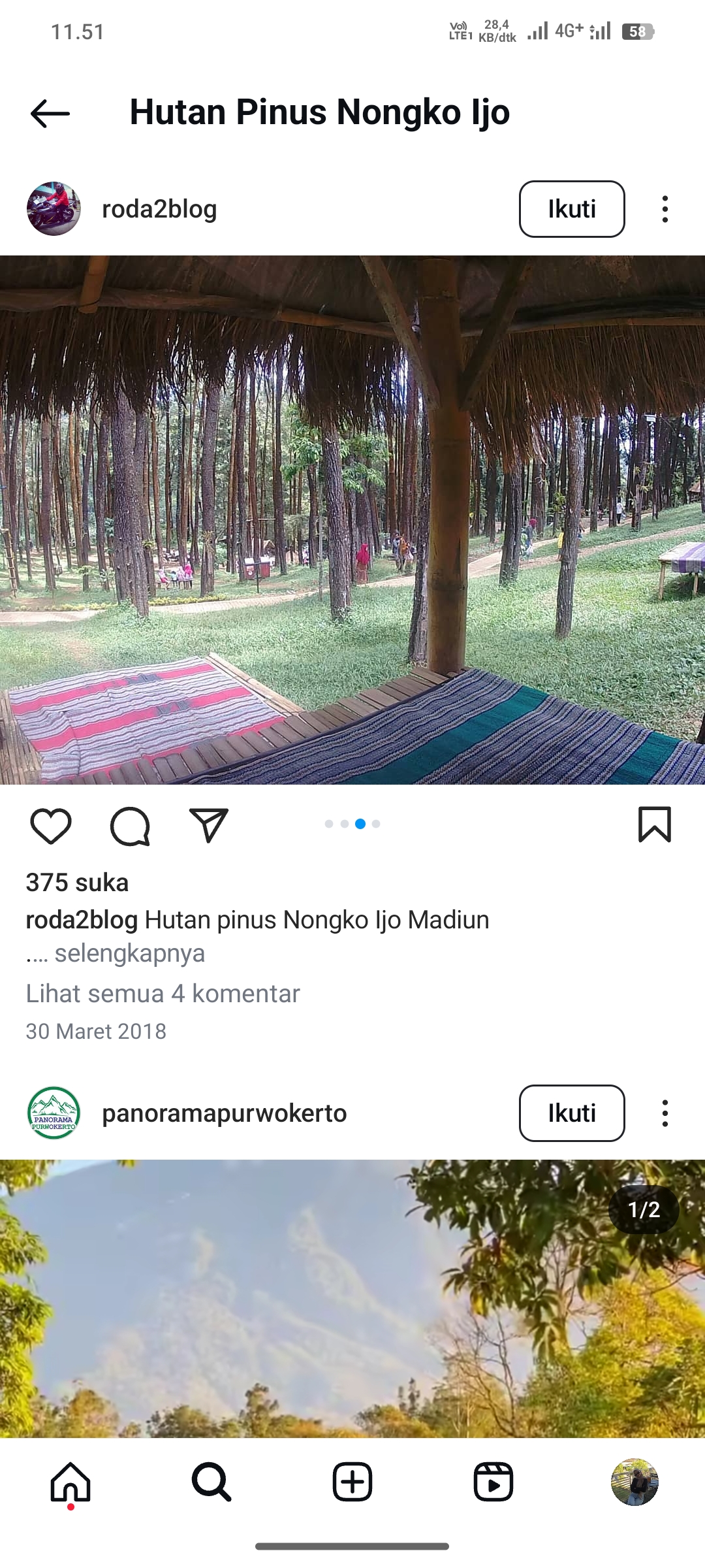 Hutan Pinus Nongko Ijo, Madiun