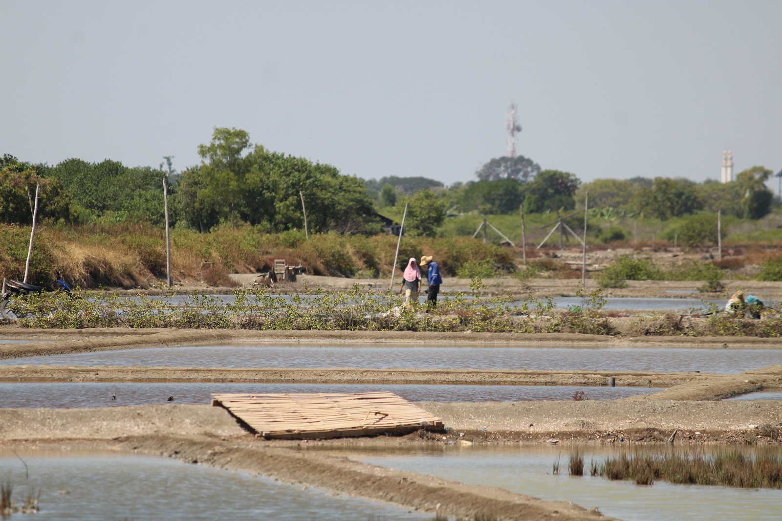PRODUKTIF: Petani garam di Kecamatan Kamal mempersiapkan lahan produksi garam, Minggu (30/6). (VIVIN AGUSTIN HARTONO/JPRM)
