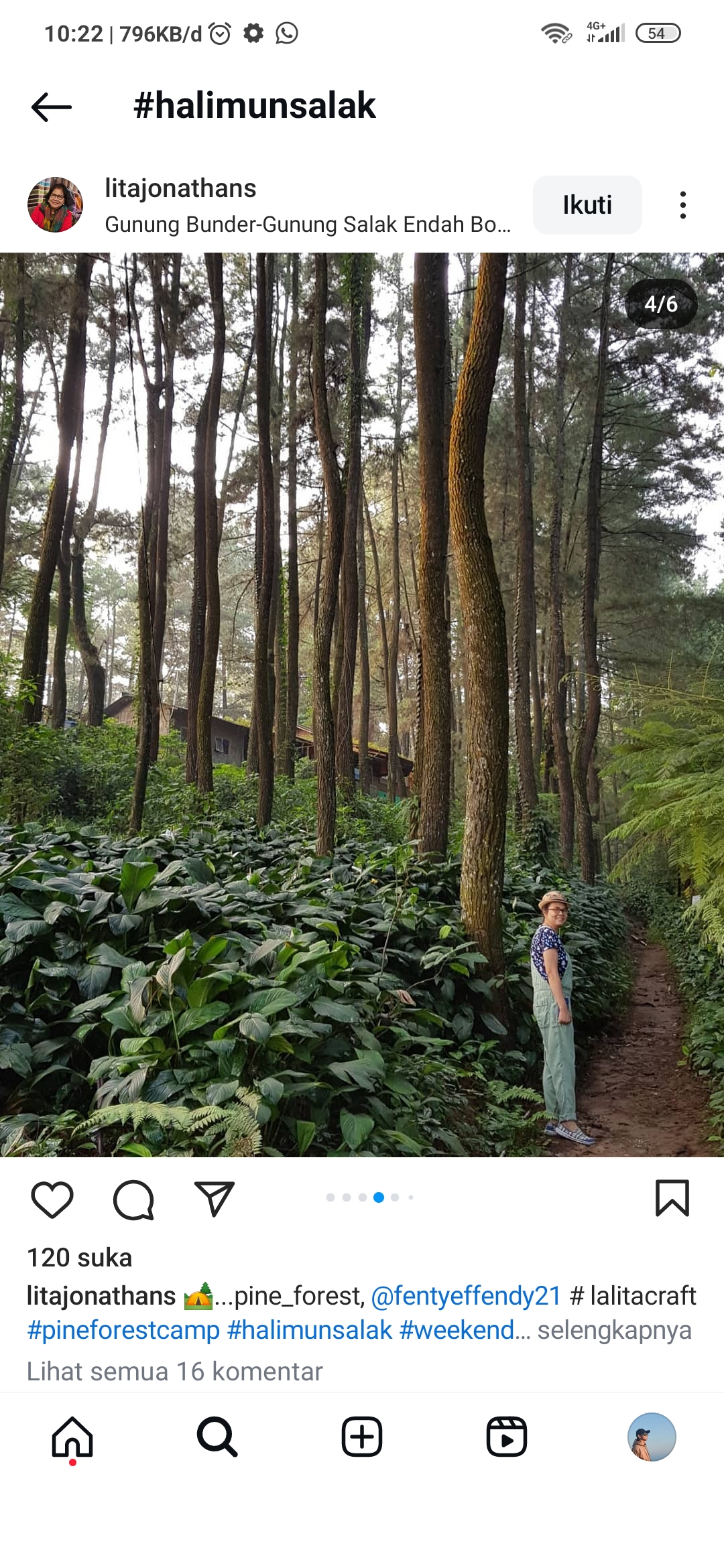 Halimun salak merupakan salah satu hutan terangker di Indonesia
