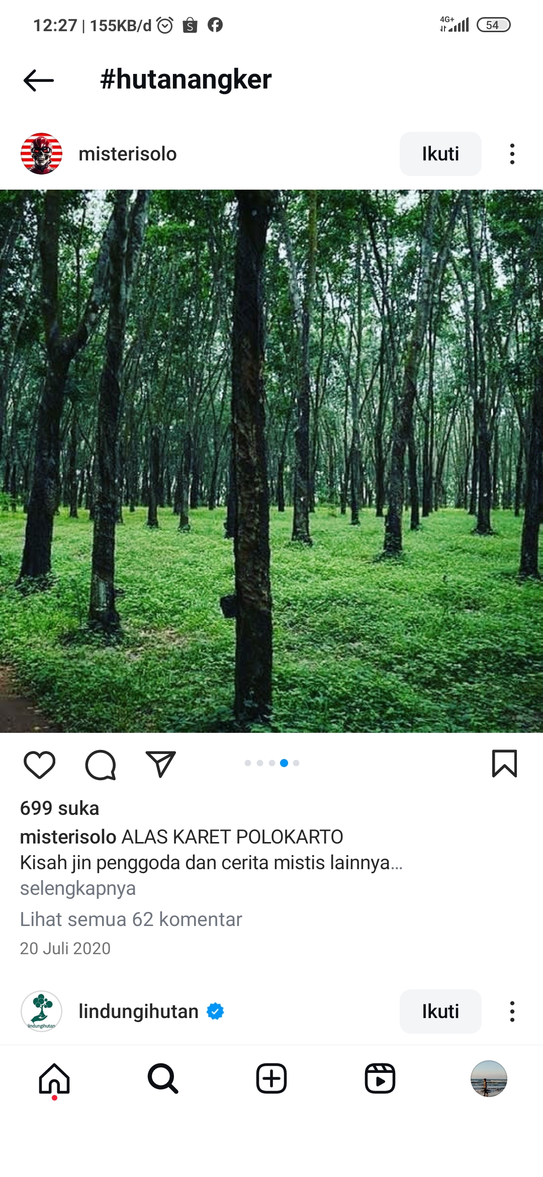 Ilustrasi Hutan Angker