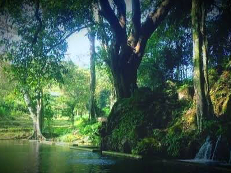 wisata alam kedung ngancar di Magetan