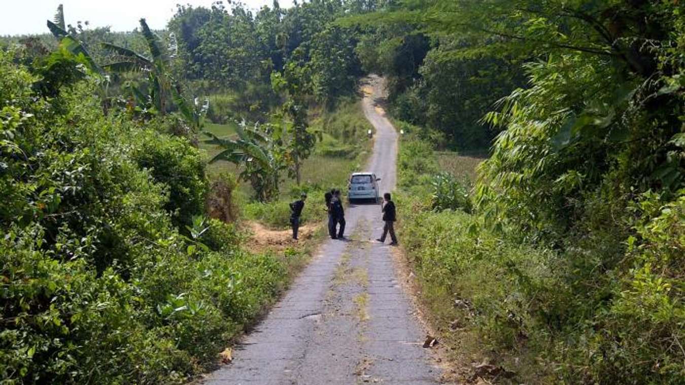 Jalan di hutan Blora