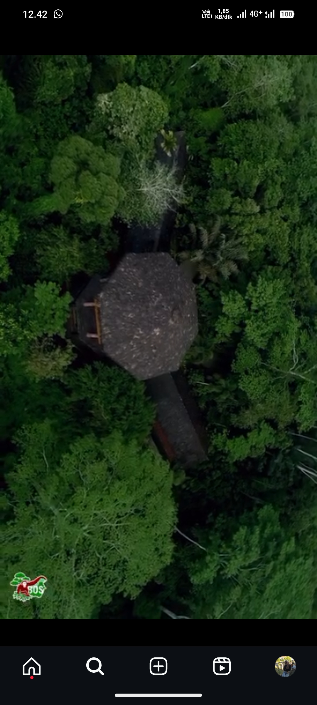 Samboja Lestari/Samboja Lodge