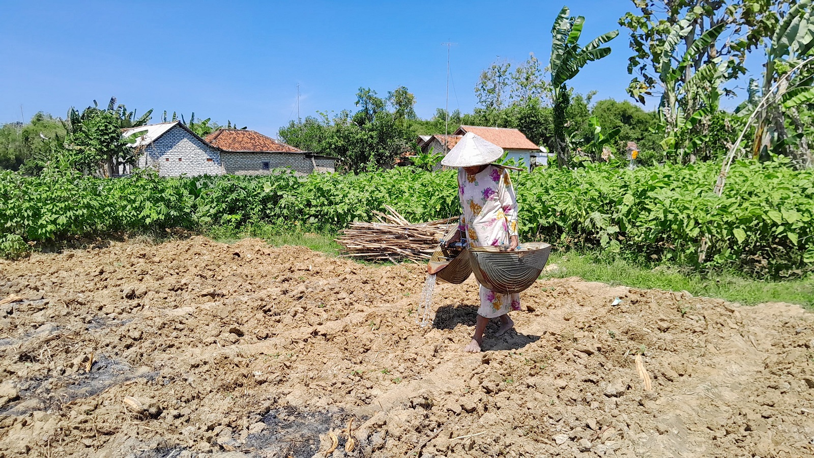PROGRAM DKPP: Petani Desa Teja Barat, Kecamatan Pamekasan, sedang melakukan penyiraman bibit tanaman sayurnya, Sabtu (3/8).