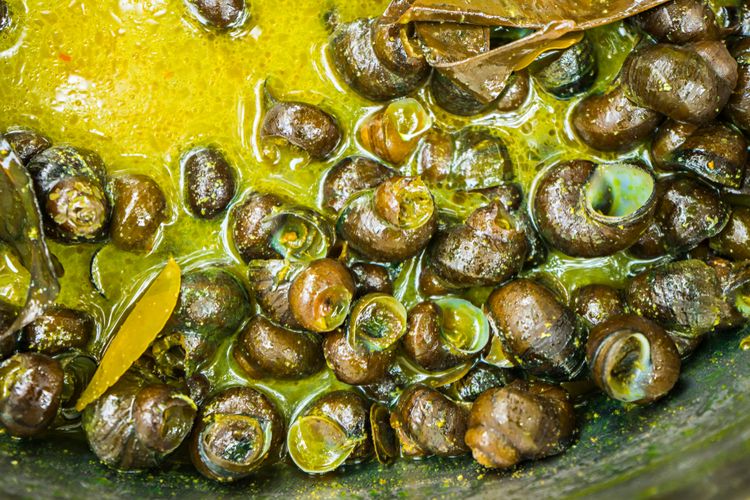 Resep Tutut