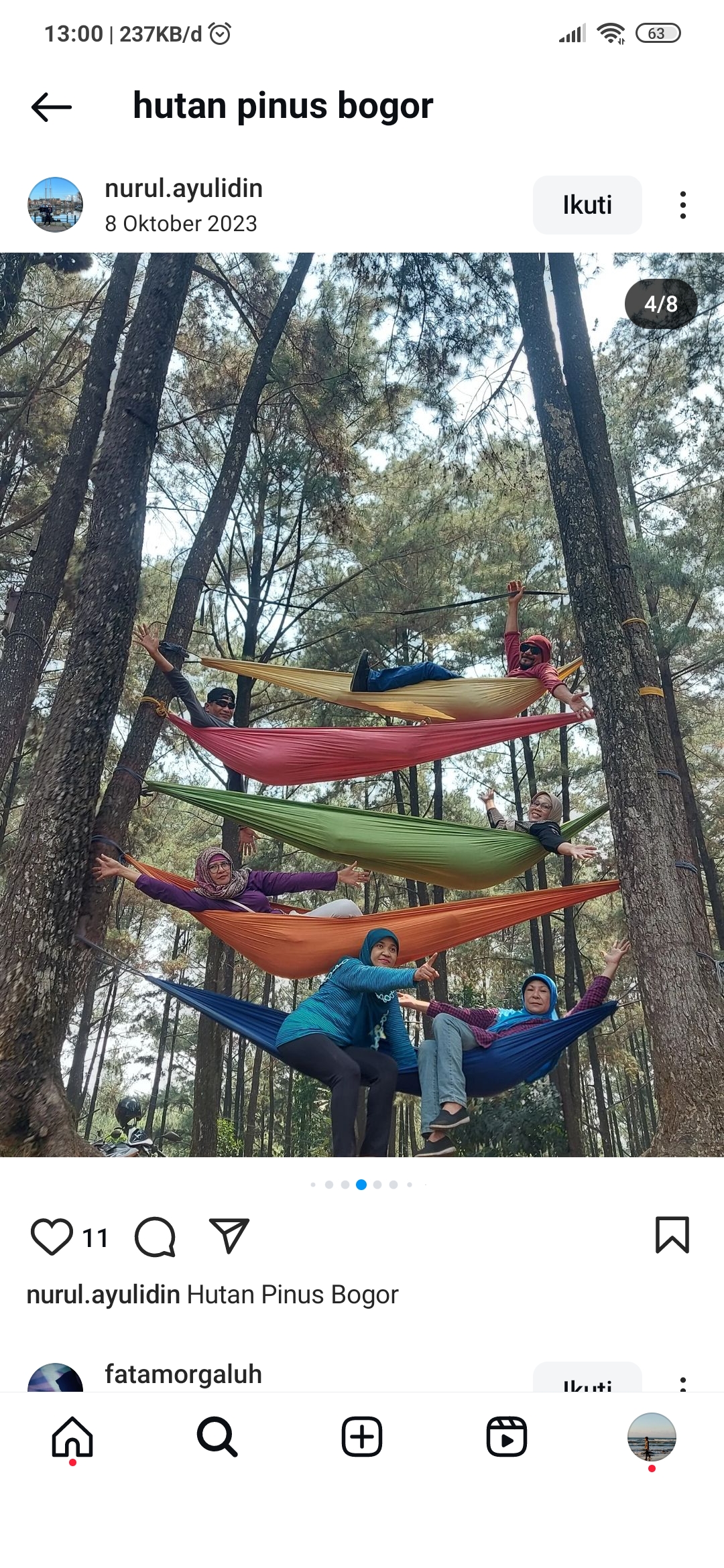 Hutan Pinus Bogor yang Sejuk