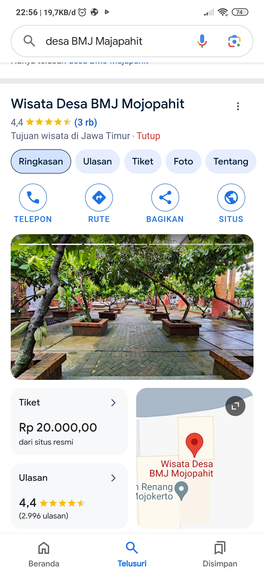 Pohon Coklat yang menjadi icon Wisata BMJ Majapahit