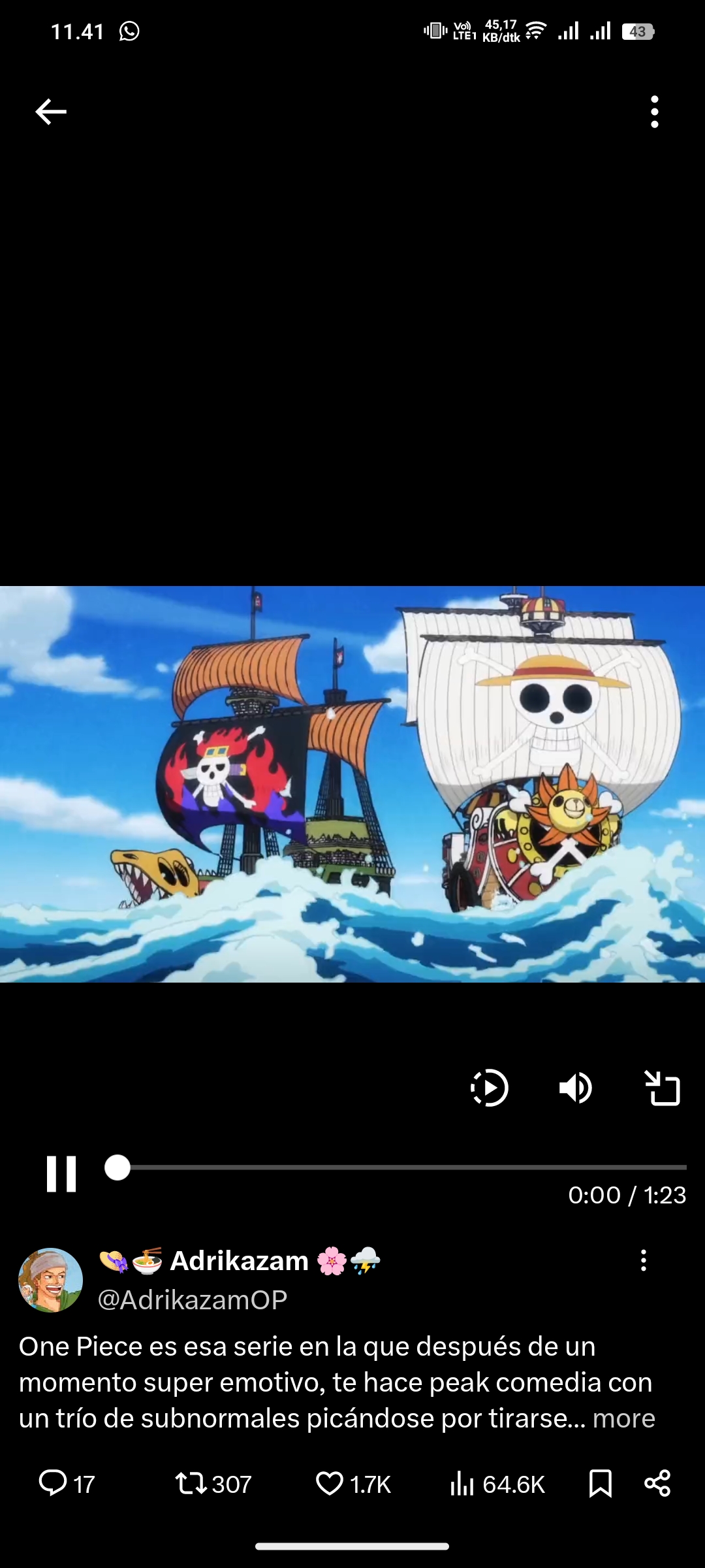Potret 2 Armada di One Piece