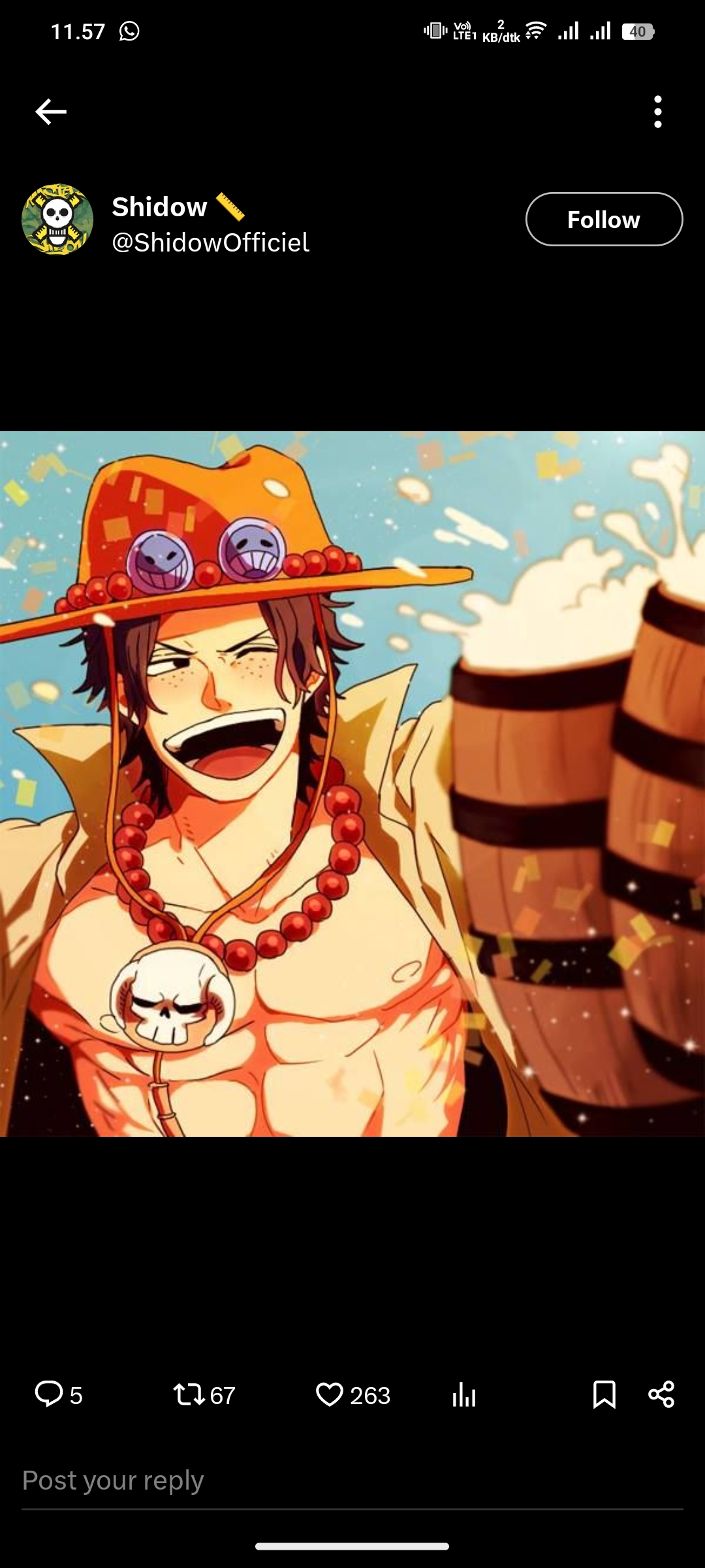 Portgas D. Ace, One Piece