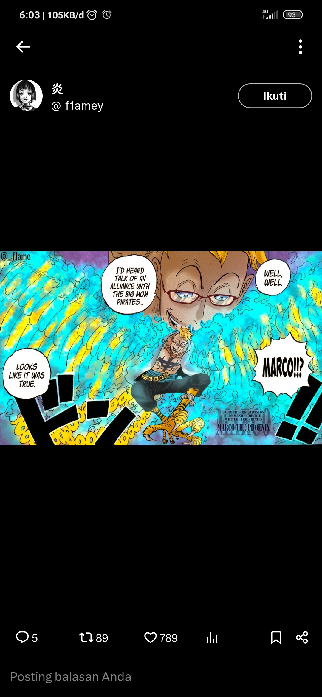 Marco The Phoenix