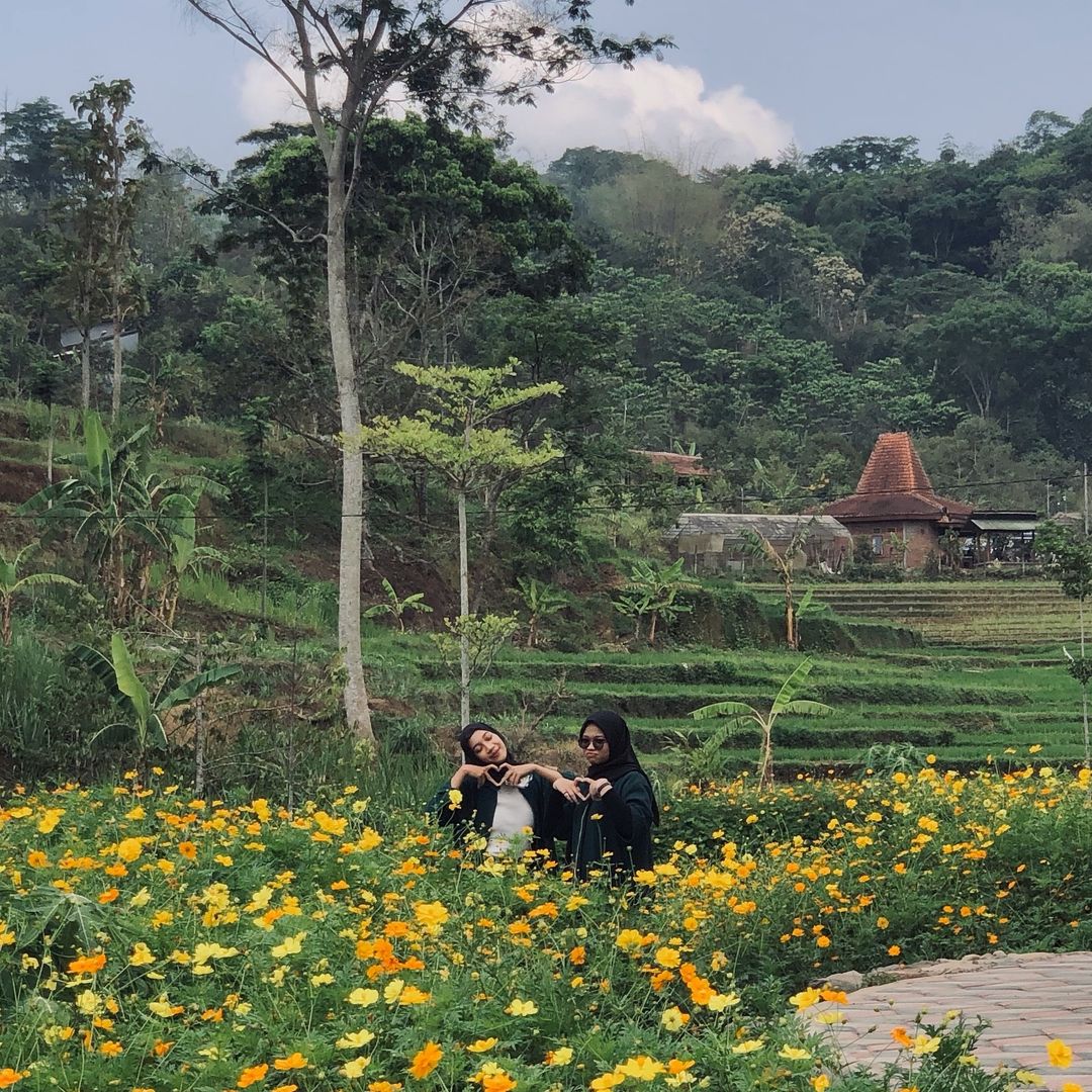 Wisata Agro Lembah Kecubung Mojokerto