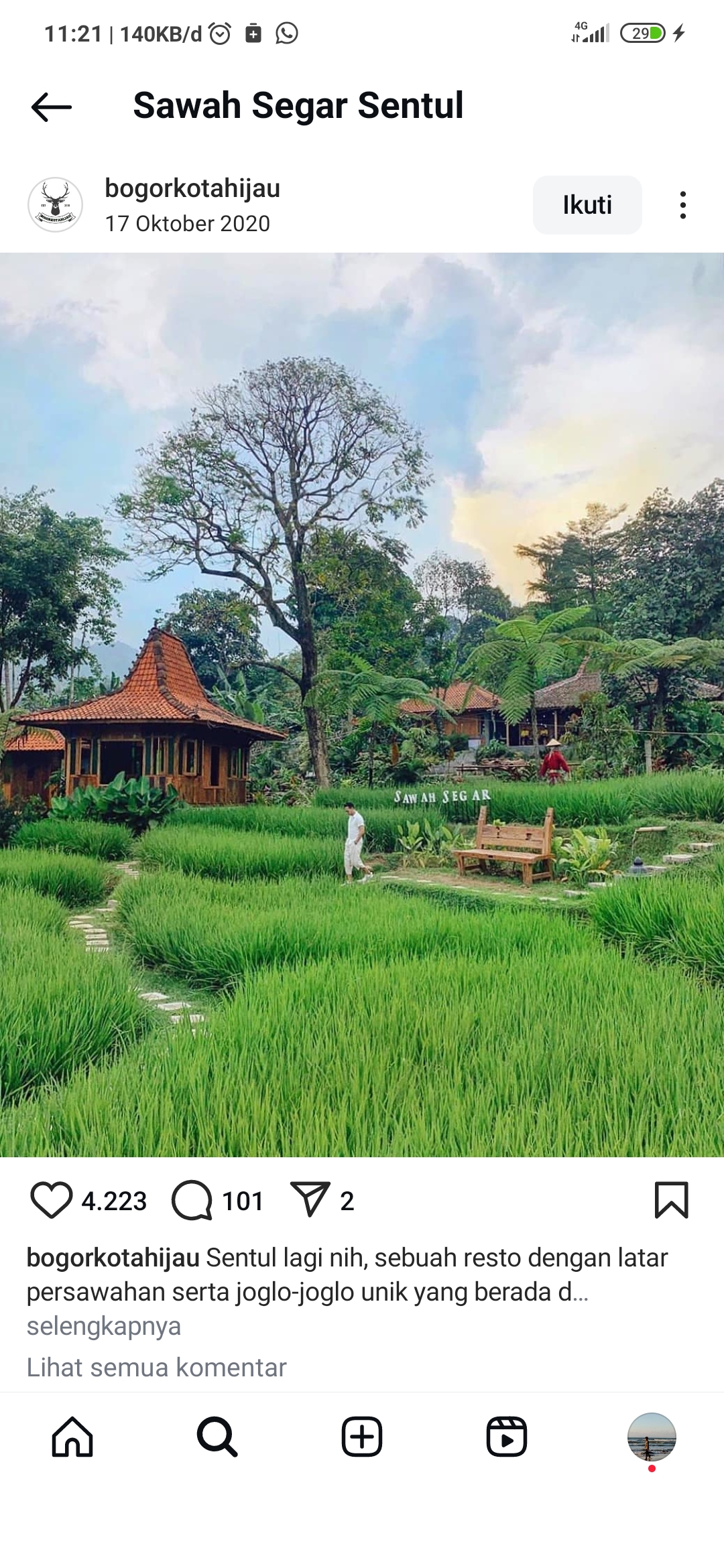 Sawah Segar Sentul