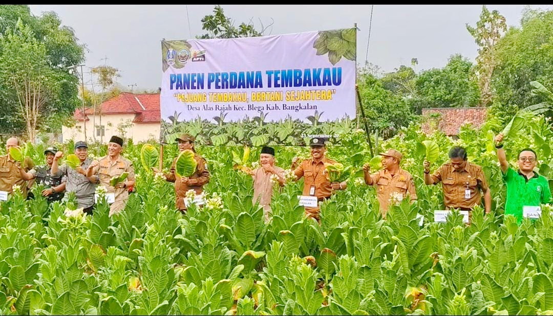 KOMPAK: Pj Bupati Bangkalan Arief M. Edie, Direktur JPRM Abdul Aziz, Dandim 0829 Letkol (Inf) Nanang Fathurrozi, dan Ketua DPD APTI Bangkala M. Sugianto saat panen perdana tembakau di Desa Alasrajah.