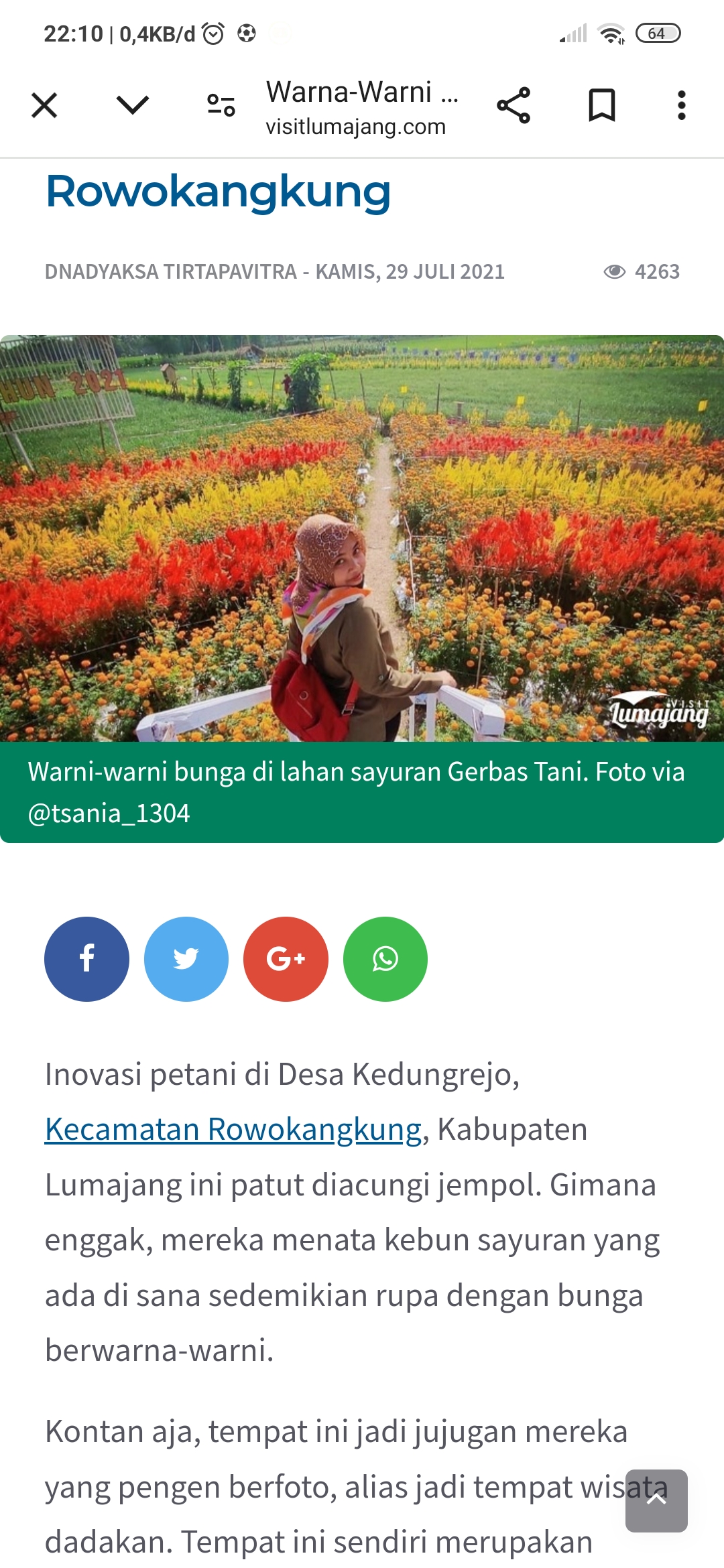 Kebun Sayuran yang jadi destinasi wisata unik dan memukau