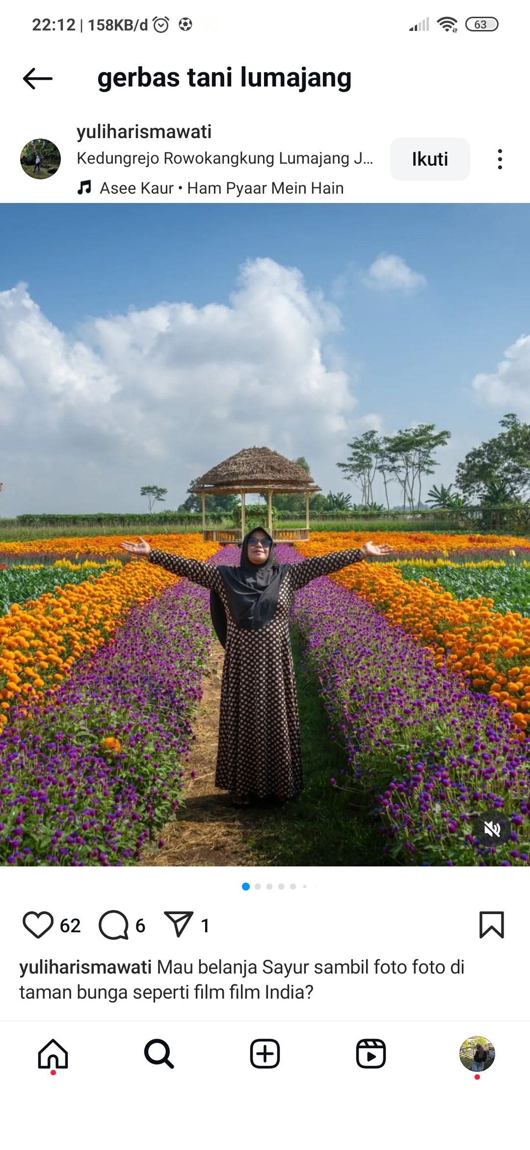 Pengunjung berfoto diantara hamparan bunga