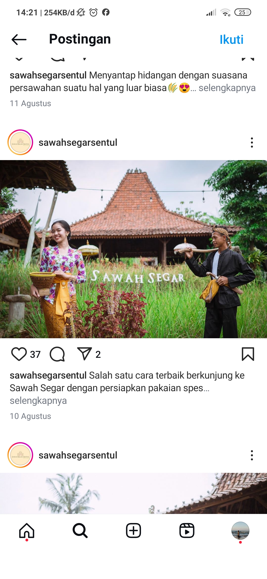 Suasana Asri pedesaan di sawah segar Sentul atau Kampung sawah Sentul