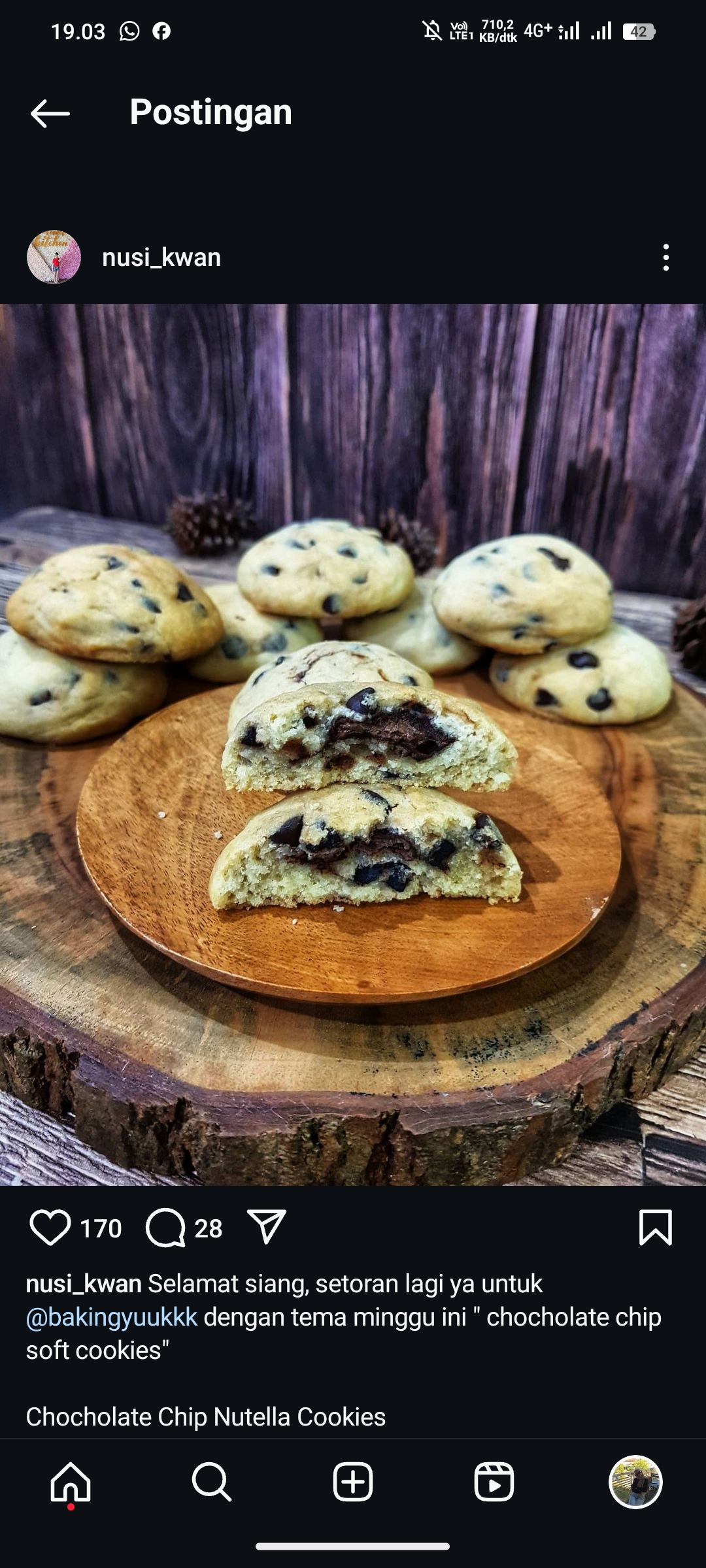 Chocolate Chip Nutella Cookies