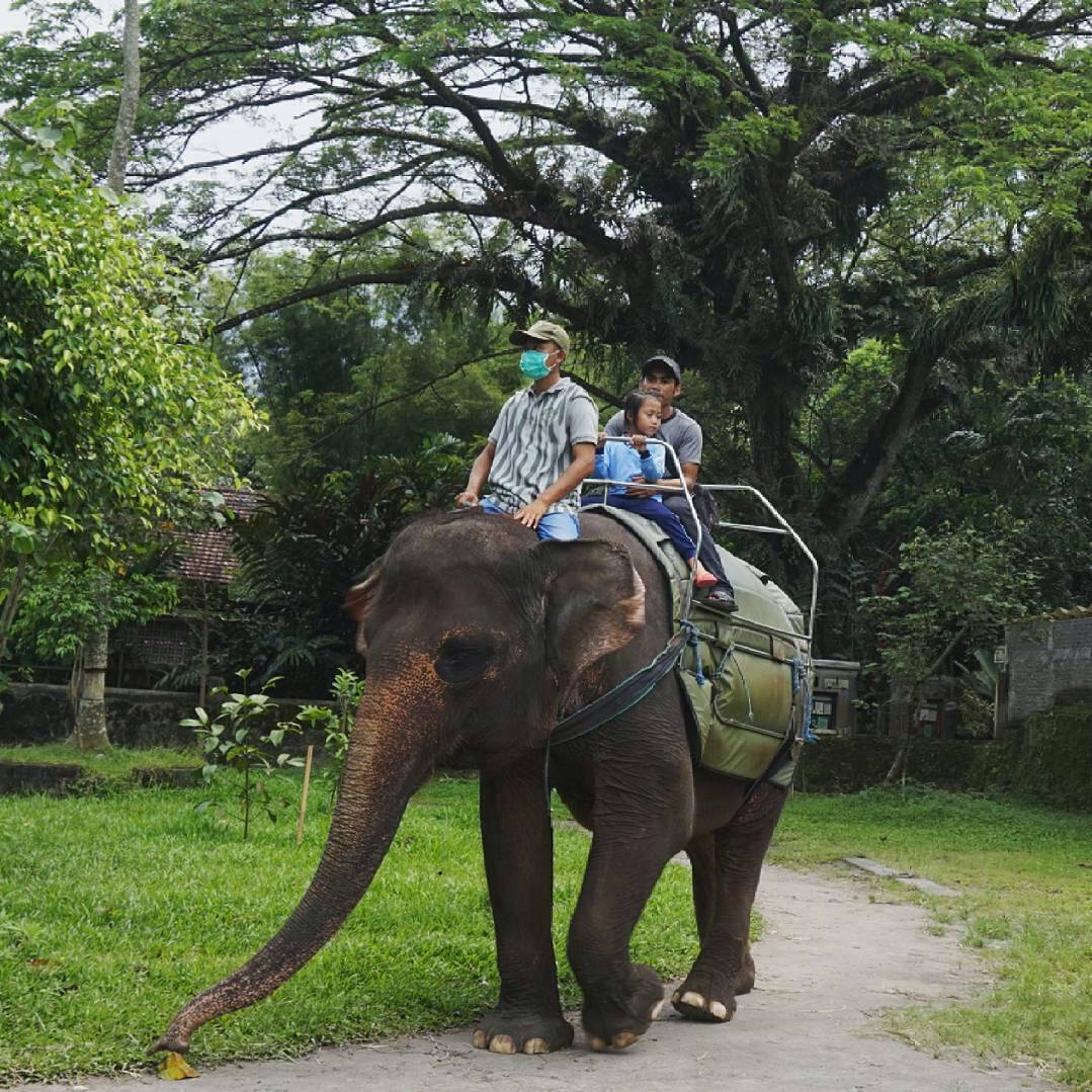 Gembiraloka Zoo menjadi salah satu pilihan wisata keluarga yang pas di Yogyakarta