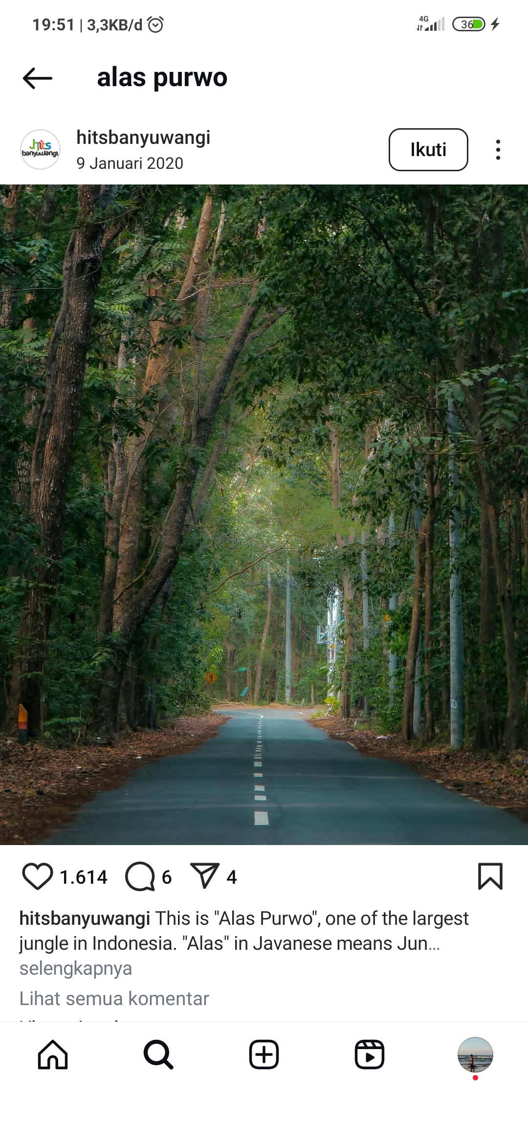 Jalan di Alas Purwo Banyuwangi