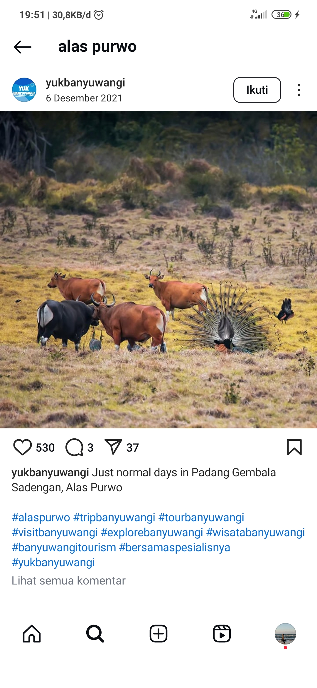 Berburu Foto di Tumpak Sewu