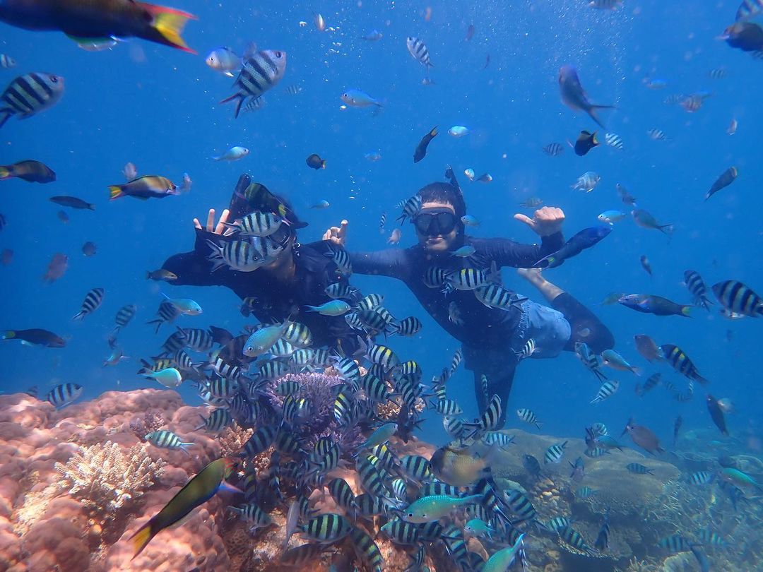 trip wisata bawah laut karimun Jawa di Jepara