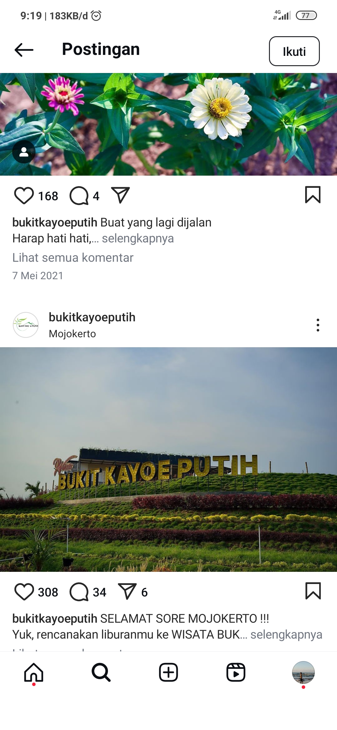 Bukit Kayoe Putih