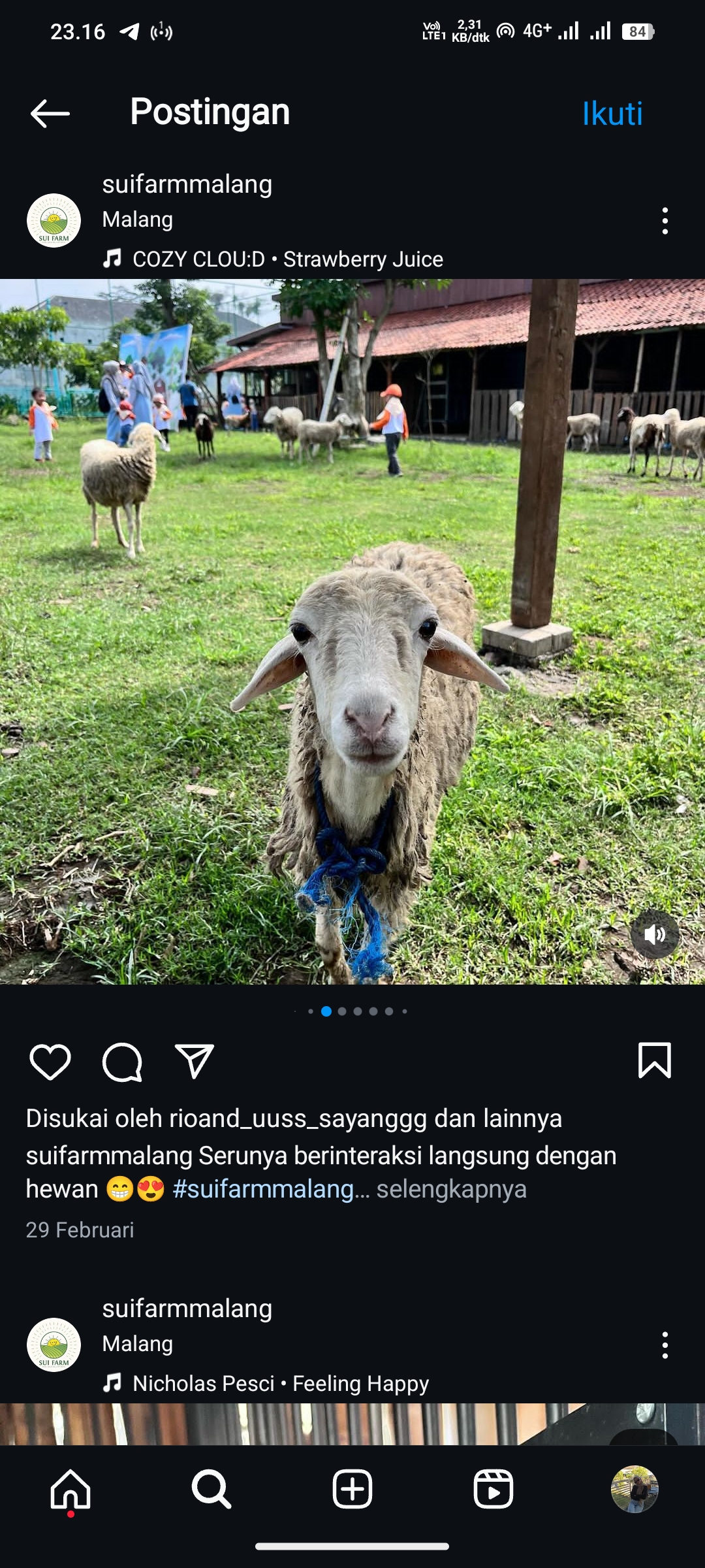 SUI FARM, Malang
