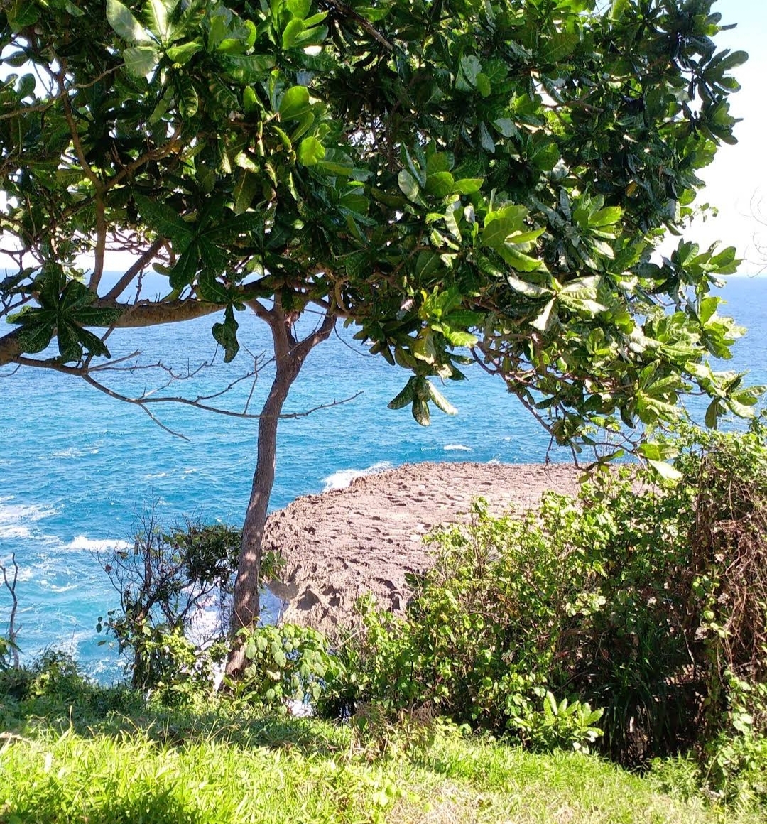 Pantai Segoro Alas, Tulungagung