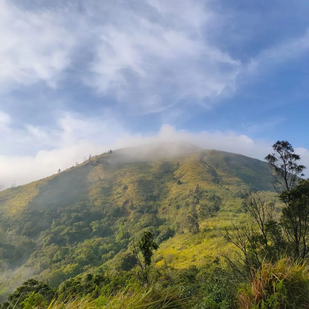 wisata pendakian bukit Mongkrang