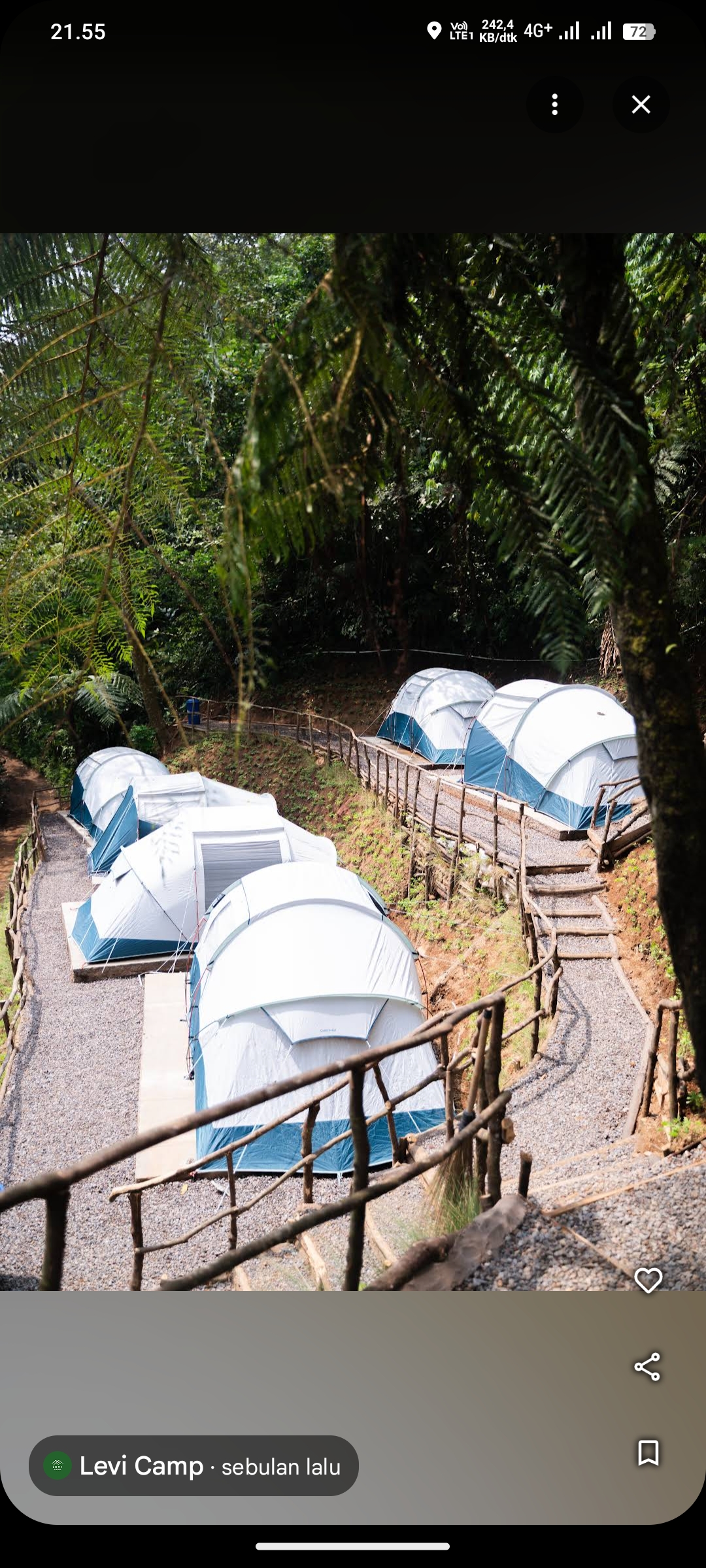 Levi Camp, Bogor