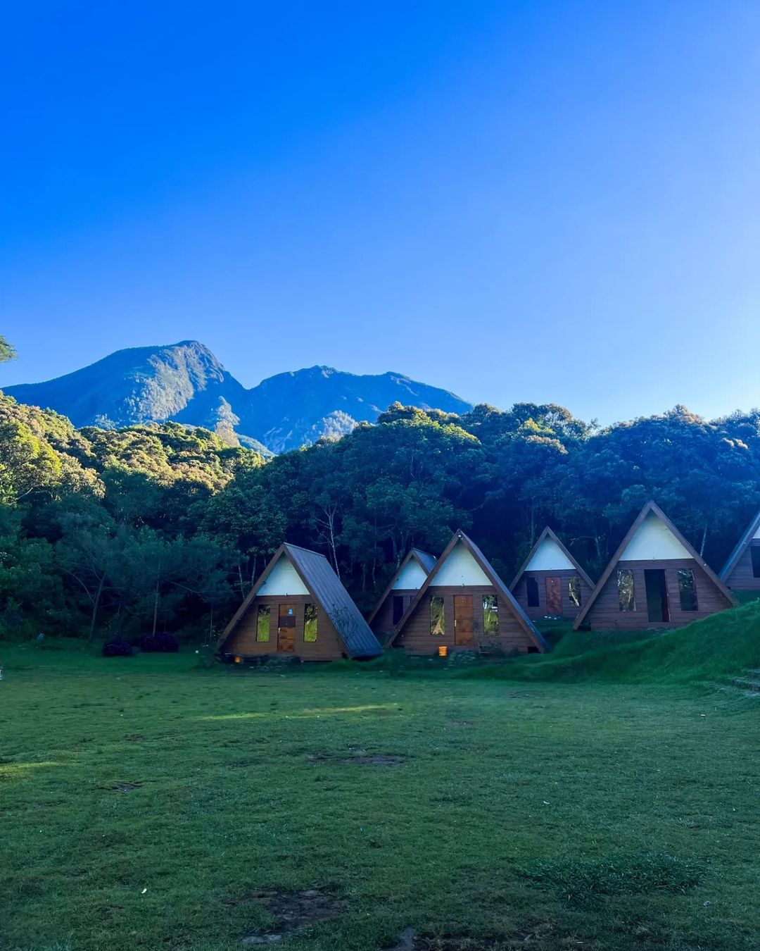 Sakura hills Tawangmangu, salah satu wisata ramah anak di Karanganyar
