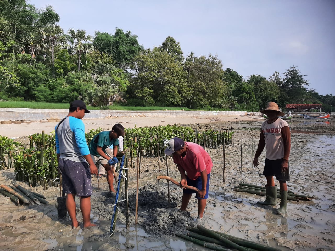 UNTUK MASA DEPAN: Para relawan lingkungan menanam mangrove di pesisir Saronggi, Sumenep, Minggu (22/12).