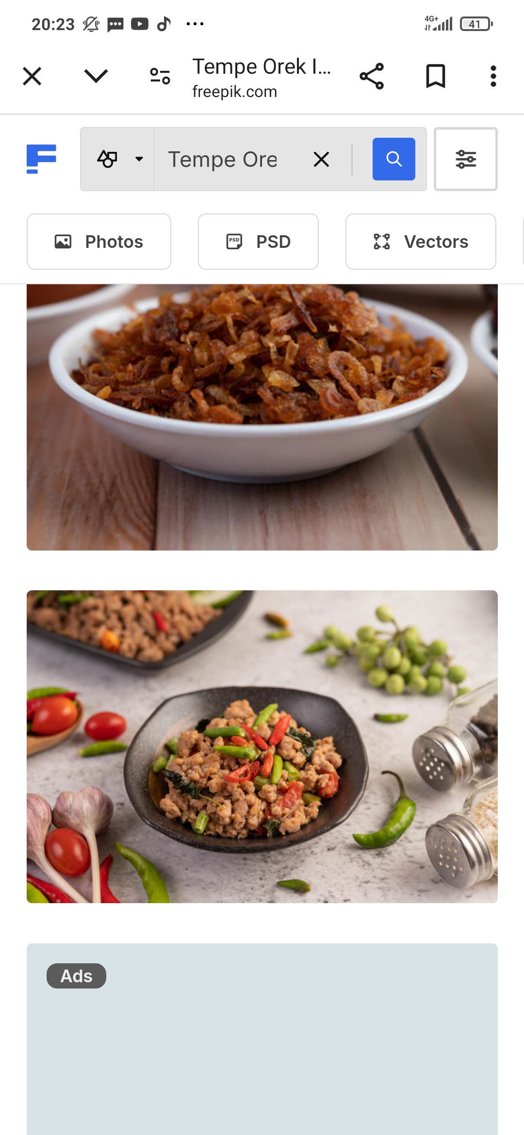 Orek Tempe