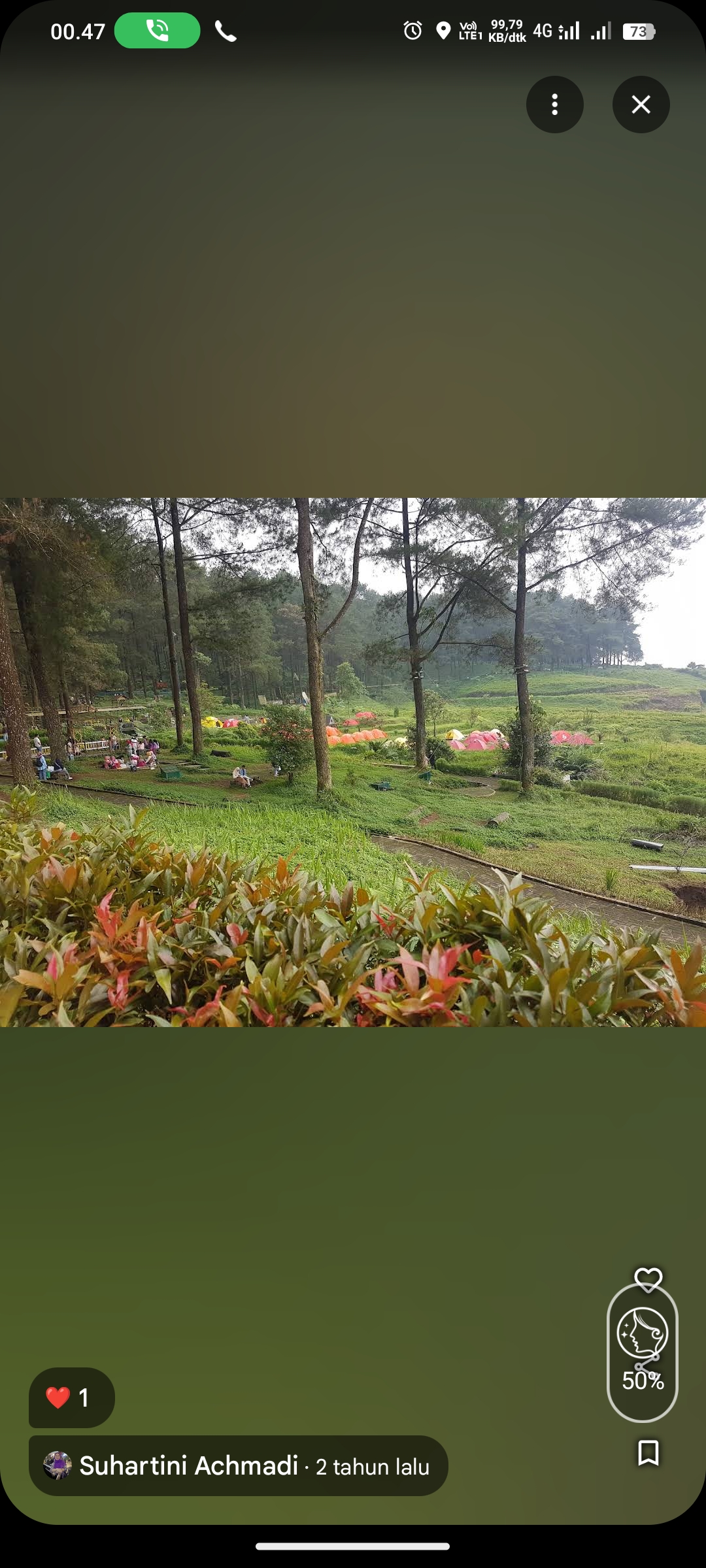 Hutan Pinus Limpakuwus