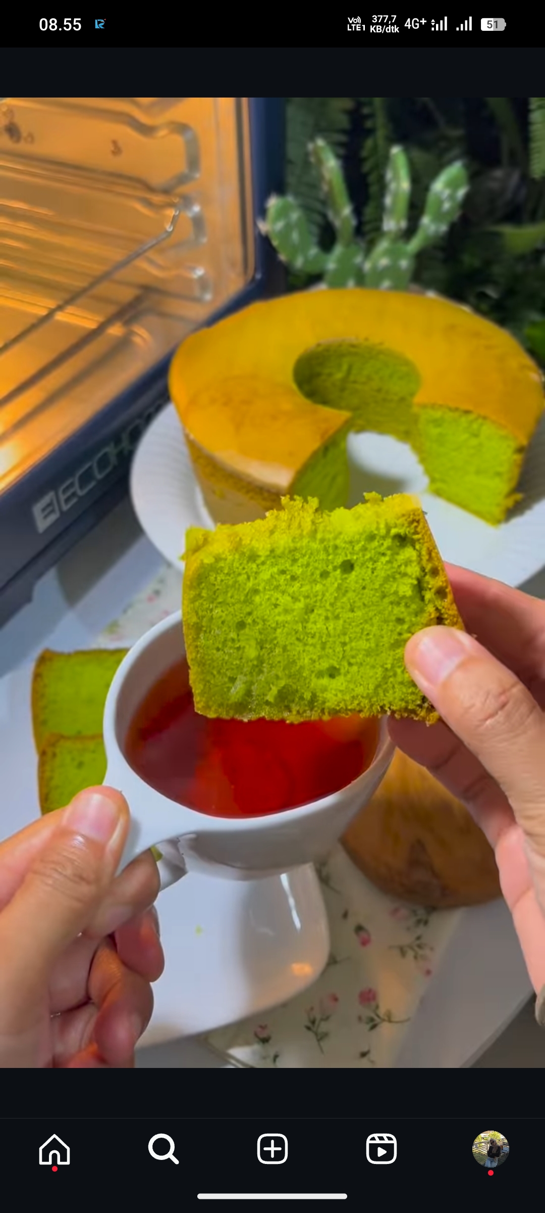 Bolu Matcha