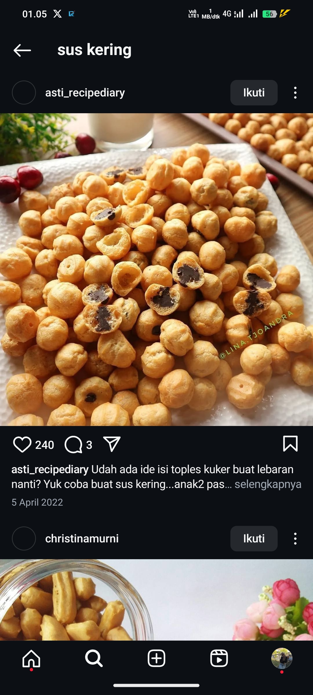 Choux Pastry Cookies (Kue Sus Kering)