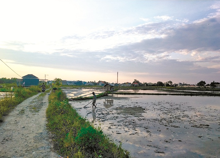 BUTUH PUPUK: Petani saat membajak sawahnya yang terletak di Desa Langkap, Kecamatan Burneh, Bangkalan, pada Minggu (29/12/2024). (VIVIN AGUSTIN HARTONO/JPRM)