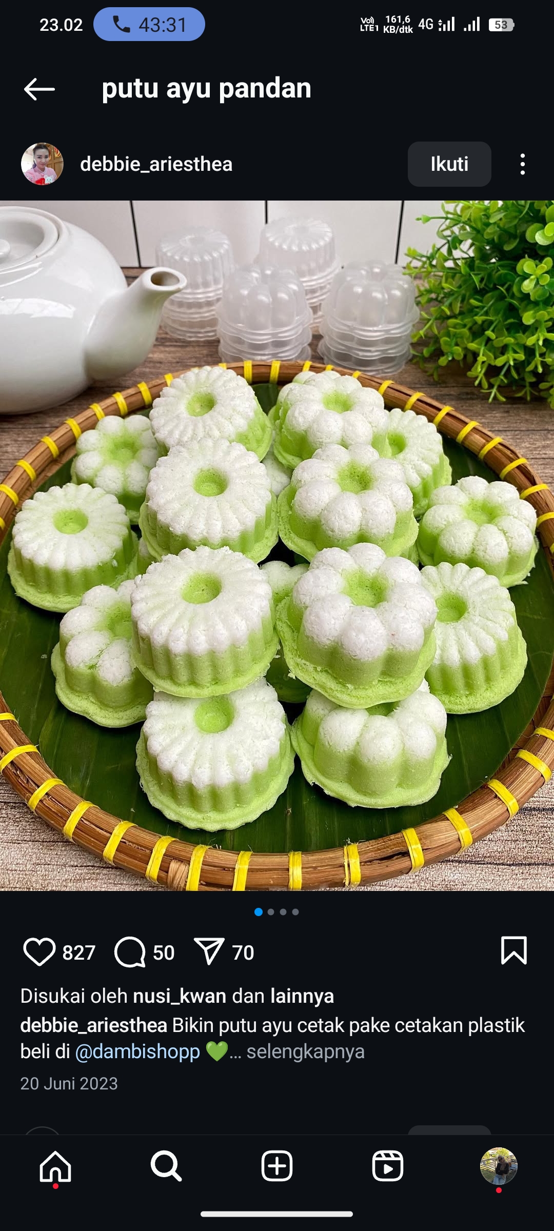 Putu Ayu Pandan