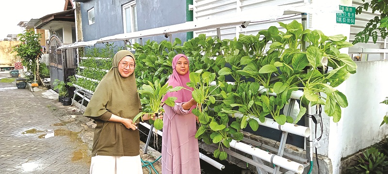 BERMANFAAT: Warga Perumahan Pondok Halim 2 mengambil sayuran hasil panen tanaman hidroponik di Kecamatan Burneh, Bangkalan, Sabtu (28/12/2024). (IMAMUDIN/JPRM)