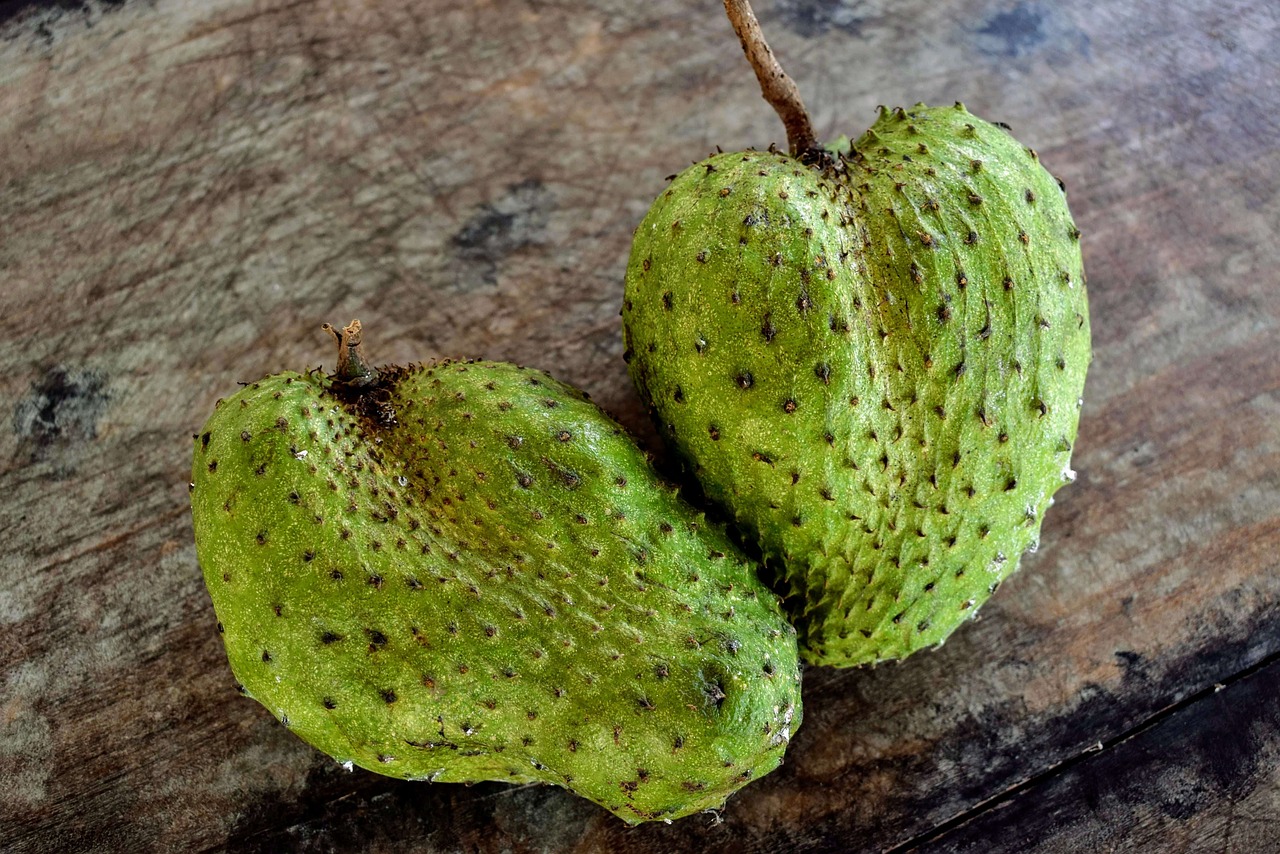 buah sirsakl mengandung banyak vitamin dan mineral untuk kesehatantubuh