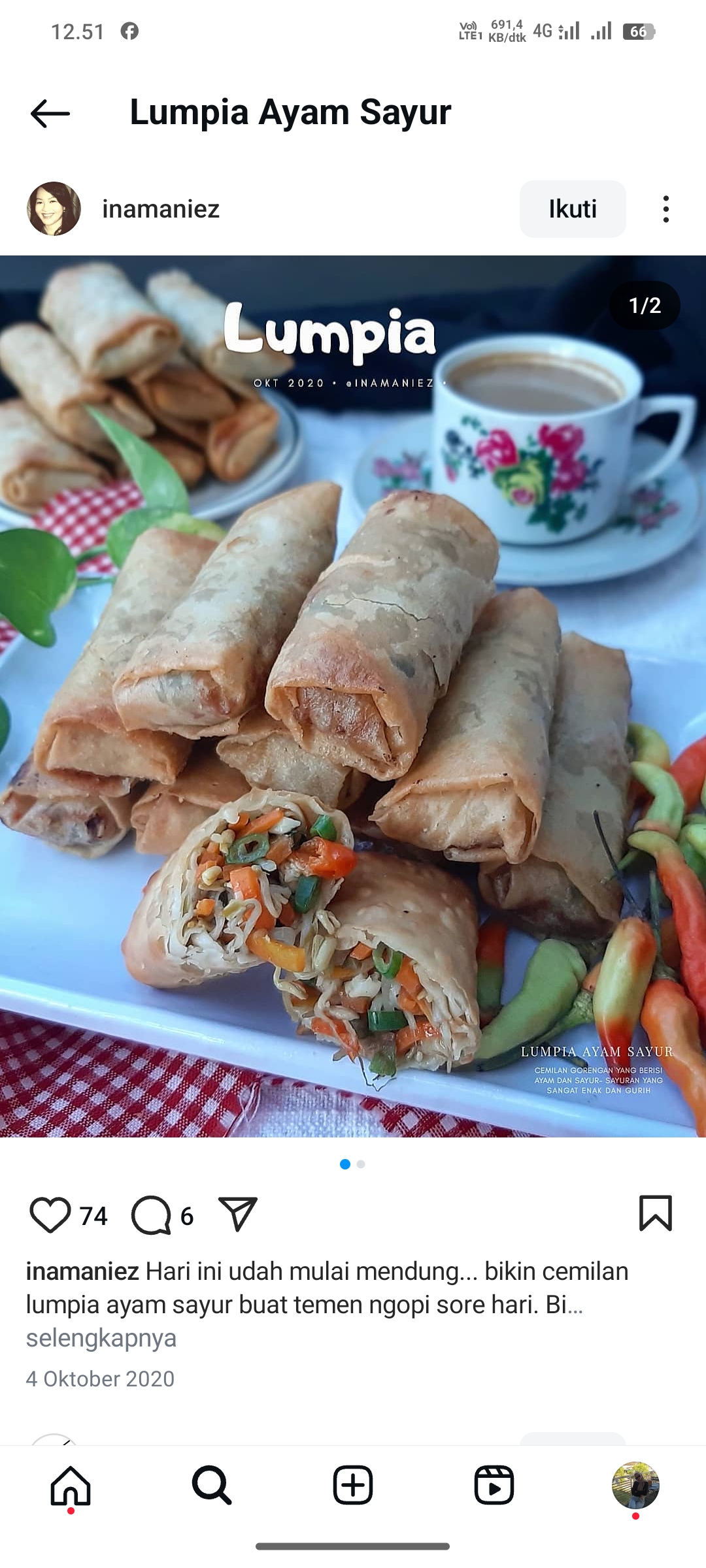 Lumpia Ayam Sayur