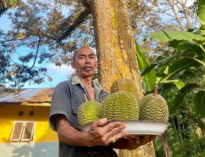 MELIMPAH: Busirah menunjukkan buah durian kasur di Desa Tebul Timur, Kecamatan Pegantenan, Pamekasan, Jumat (10/1). (MOH. IQBAL AFGANI/JPRM)
